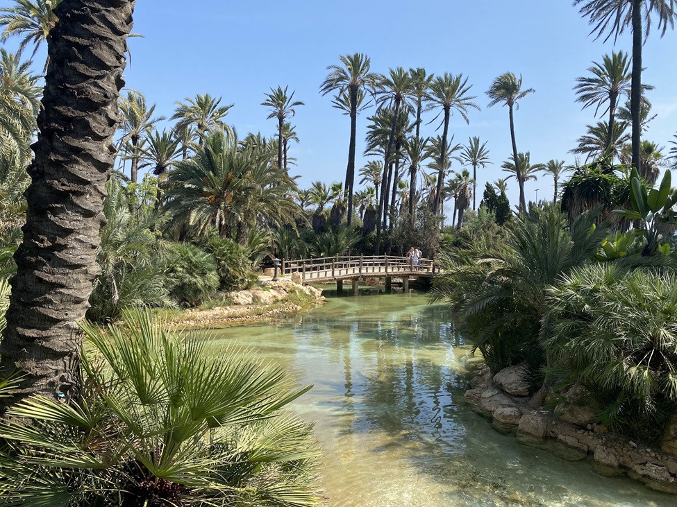 Parque El Palmeral de Alicante