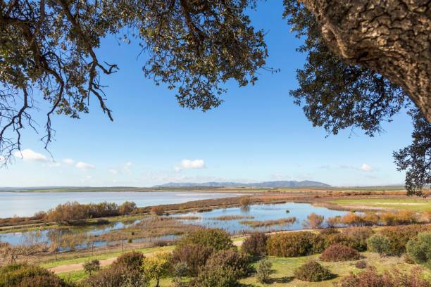 Laguna Fuente de Piedra
